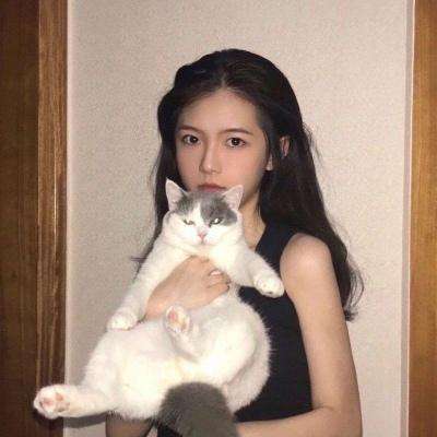 出击吧主公破解版下载